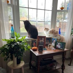 Meet your Posher, Michelle